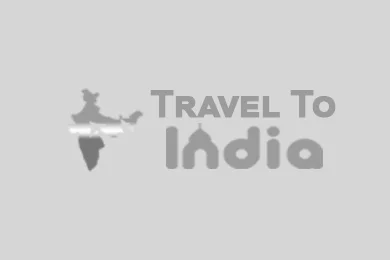 9 Seater Luxury Maharaja Tempo Traveller Jaipur