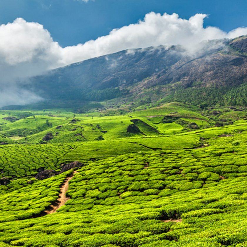 Ten Most Beautiful Places Visit in South India