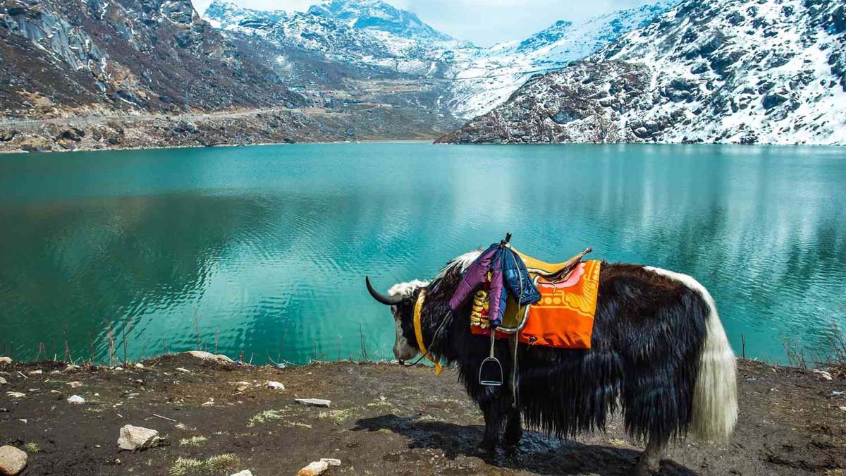 Gangtok, Sikkim