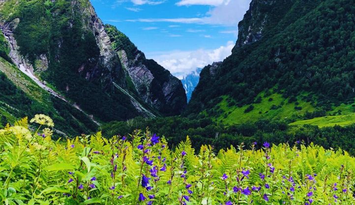 Nanda Devi National Park