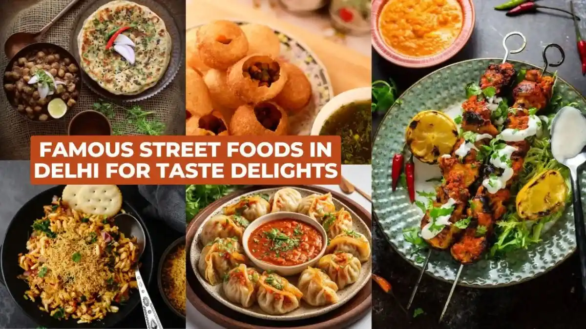 Famous Street Foods in Delhi for Taste Delights