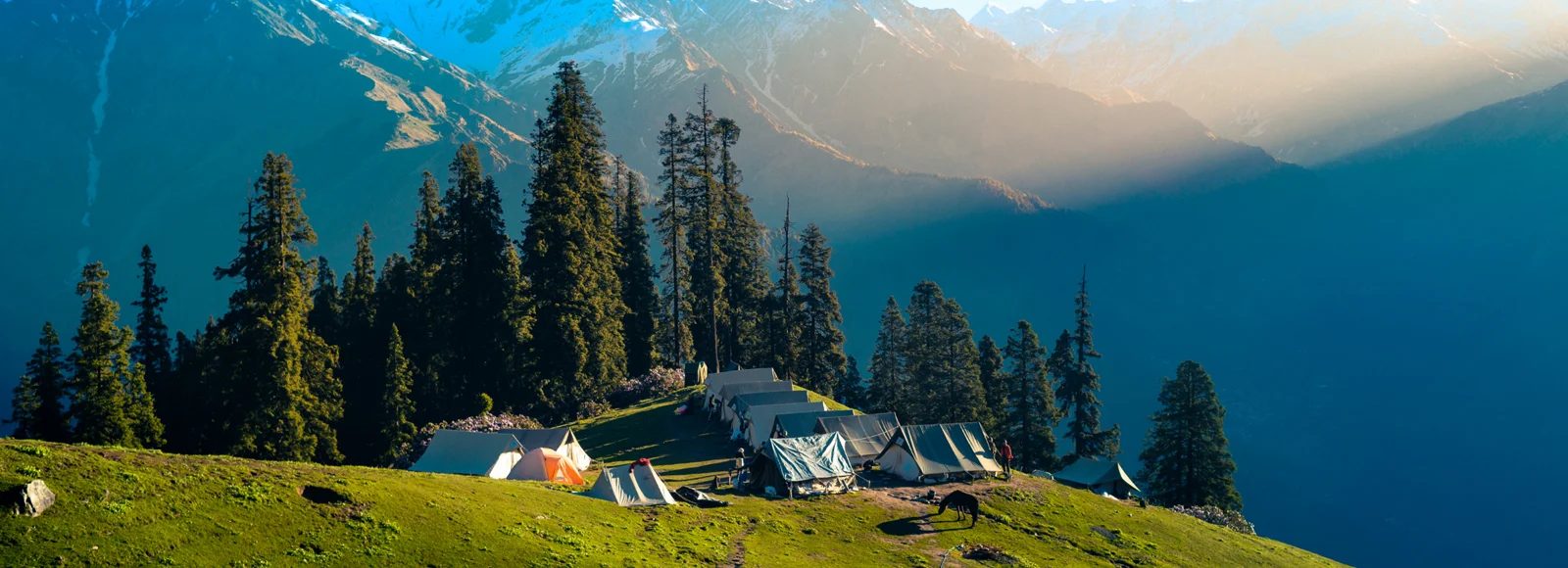 B2B Travel Agent in Himachal