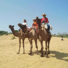 Camel Safari