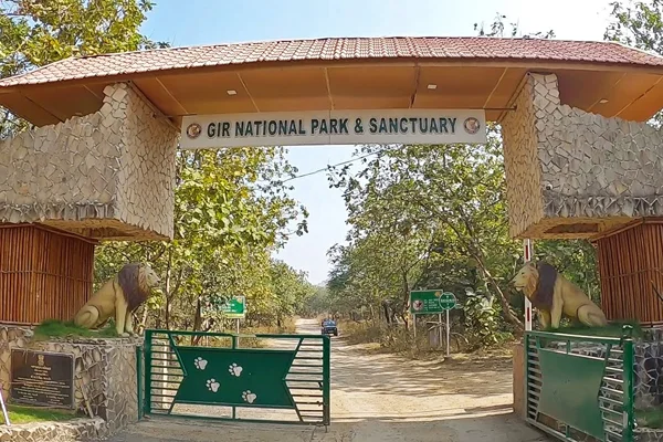 Ahmedabad to Gir National Park