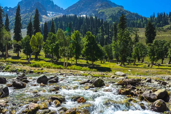 Amritsar to Manali Tempo Traveller