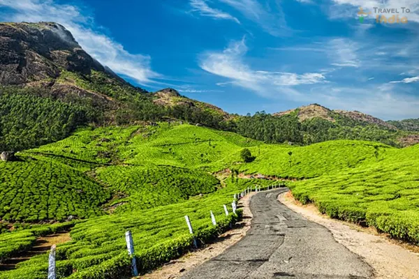 Kochi to Munnar