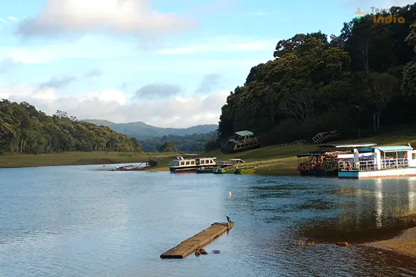 Kochi to Thekkady